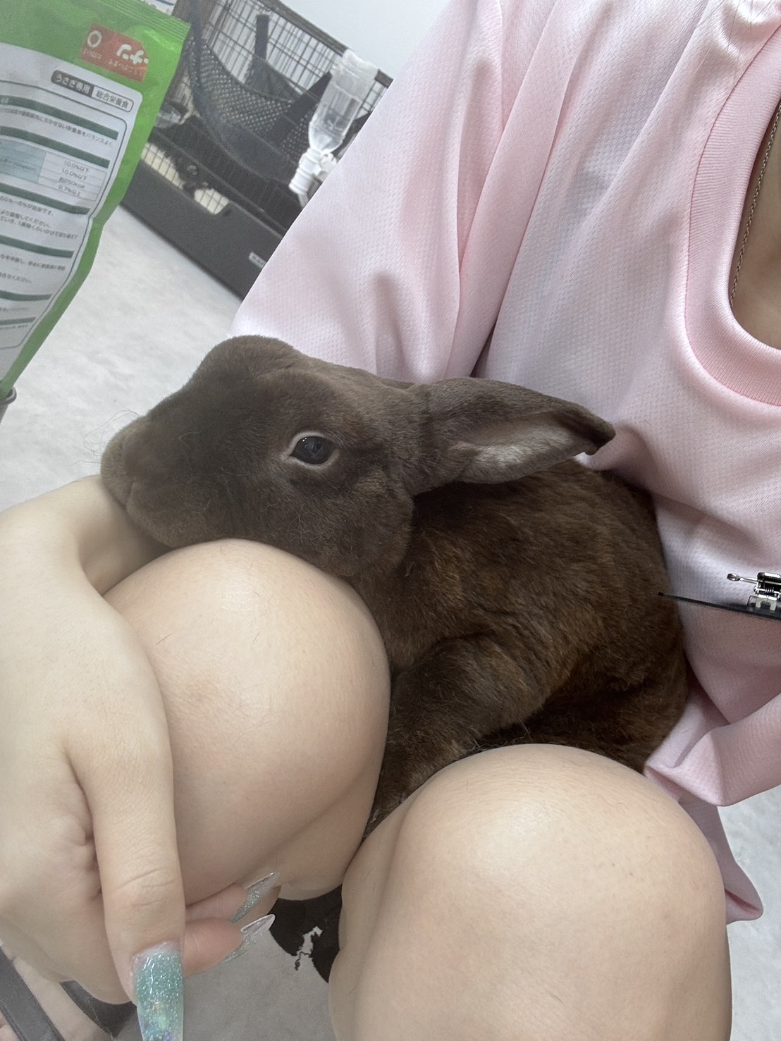 ミニレッキス
